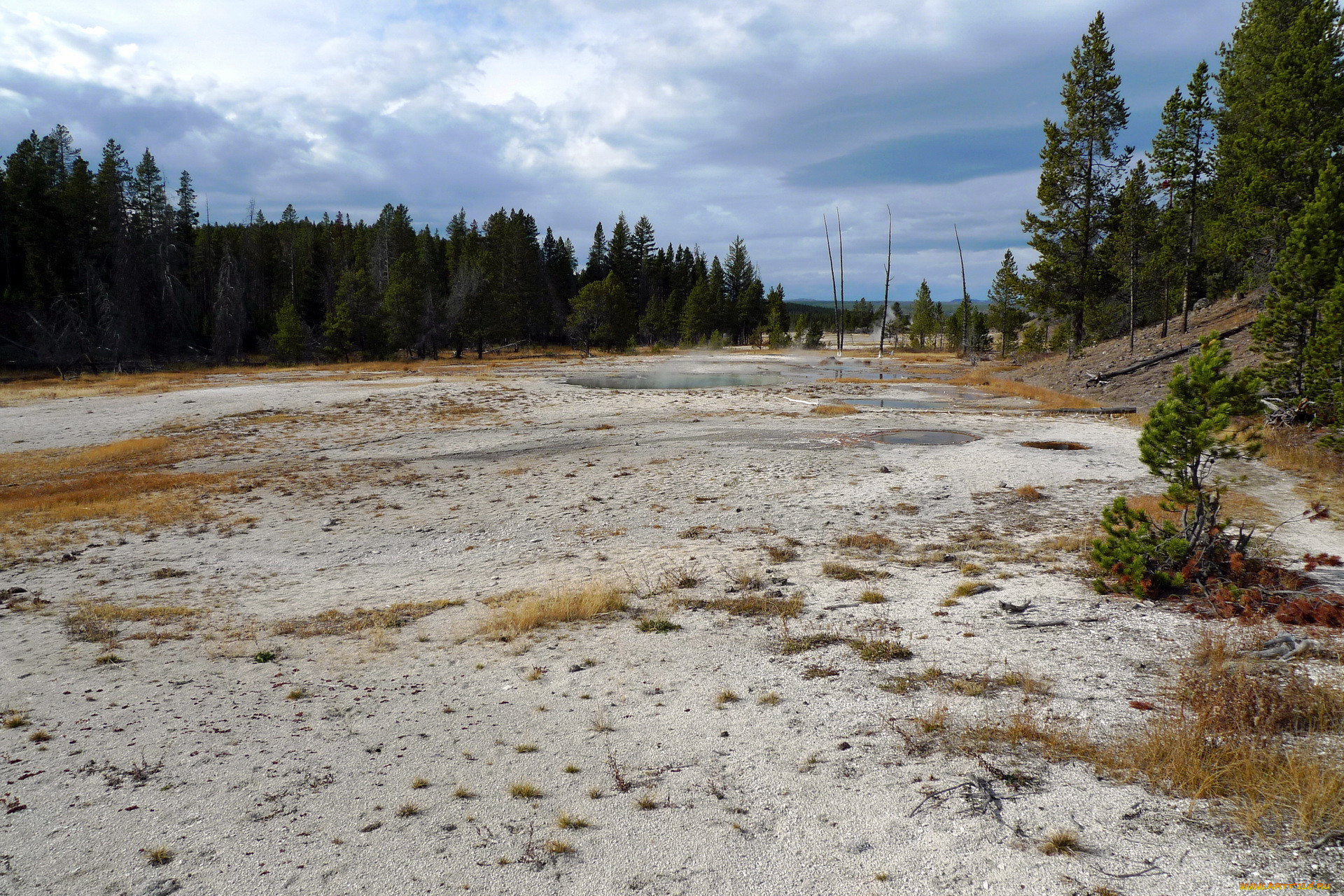 yellowstone, national, park, , 